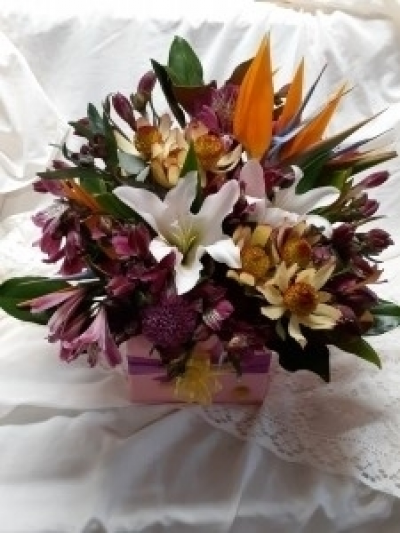 Autumn Product Image