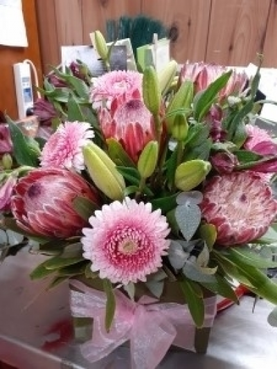 Pink Product Image